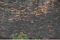 Photo Textures of Wall Bricks